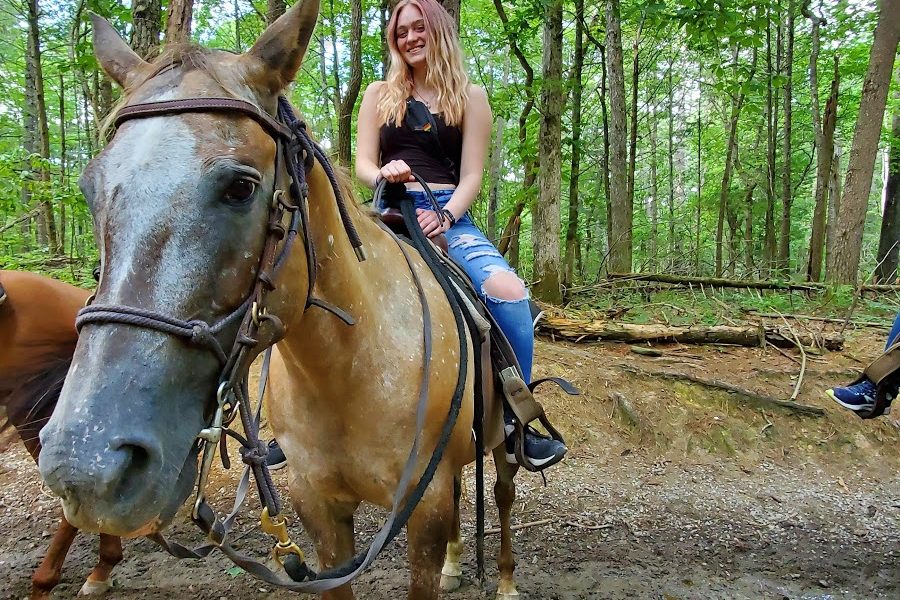 Cades Cove Riding Stables