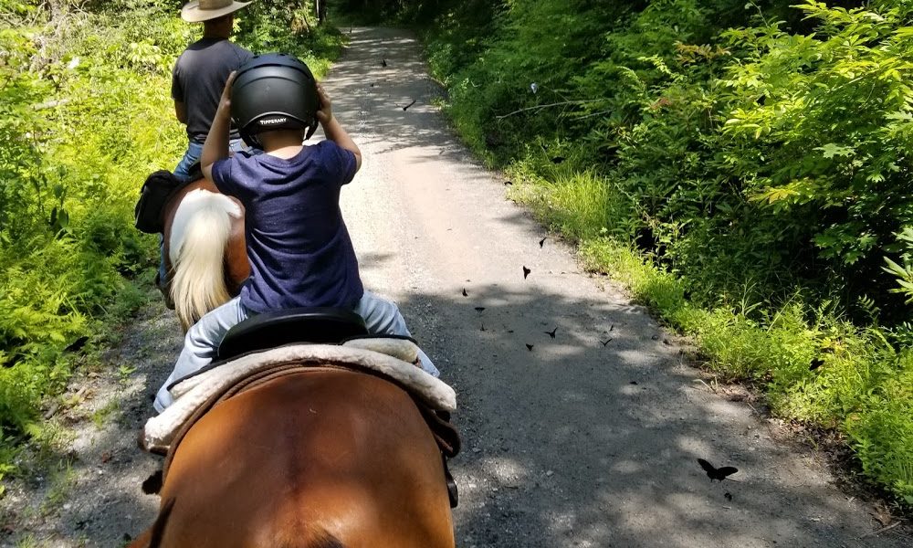 Chunky Gal Stables LLC