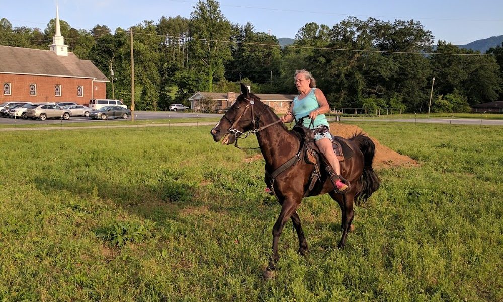 Deep Creek Horse Camp