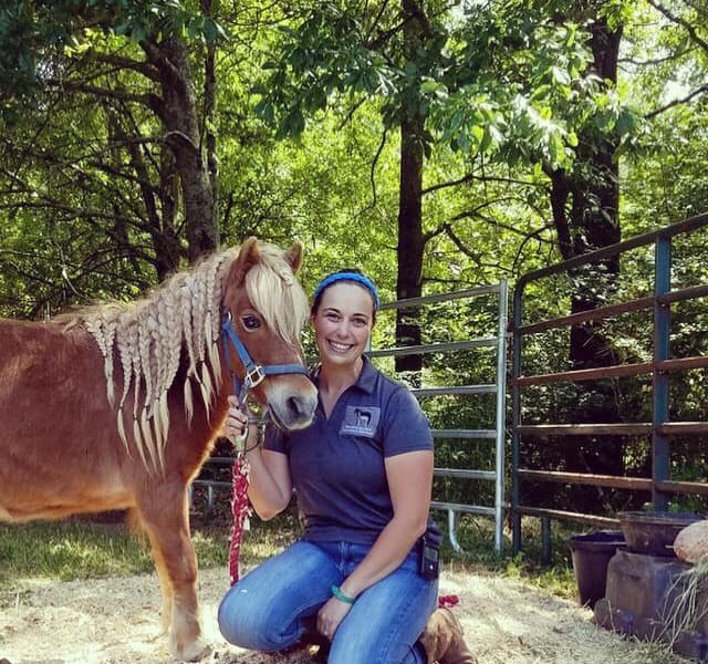 Hartwell Equine Veterinary Services