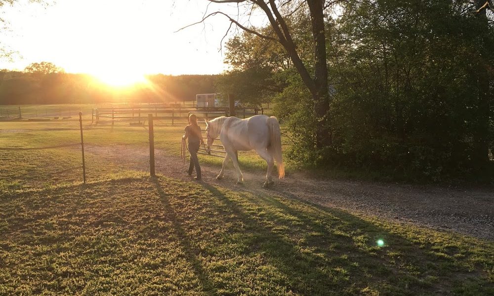 Hidden Creek Horse Farm, LLC