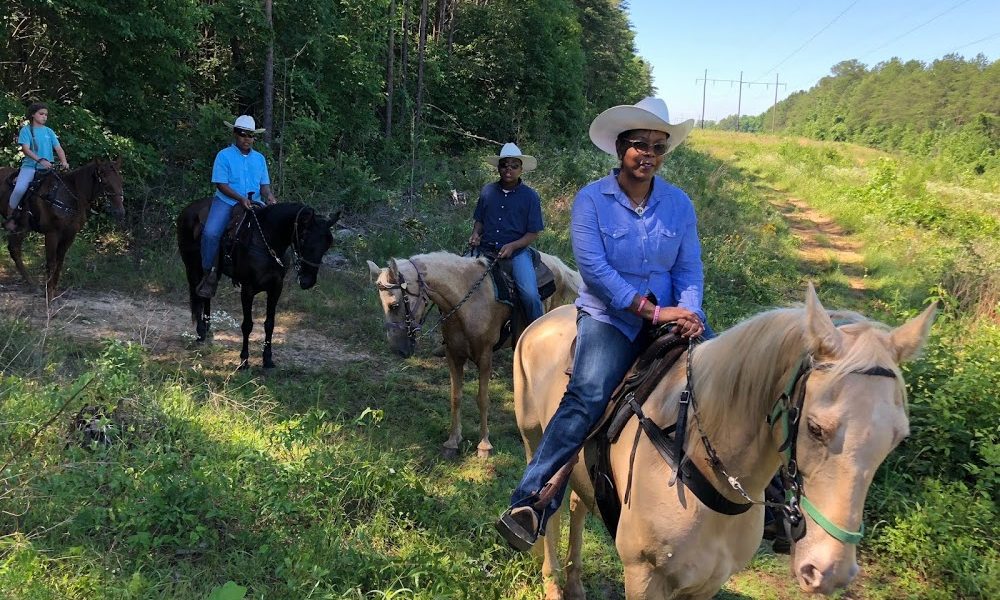 Mo’s Carriages and Trail Rides