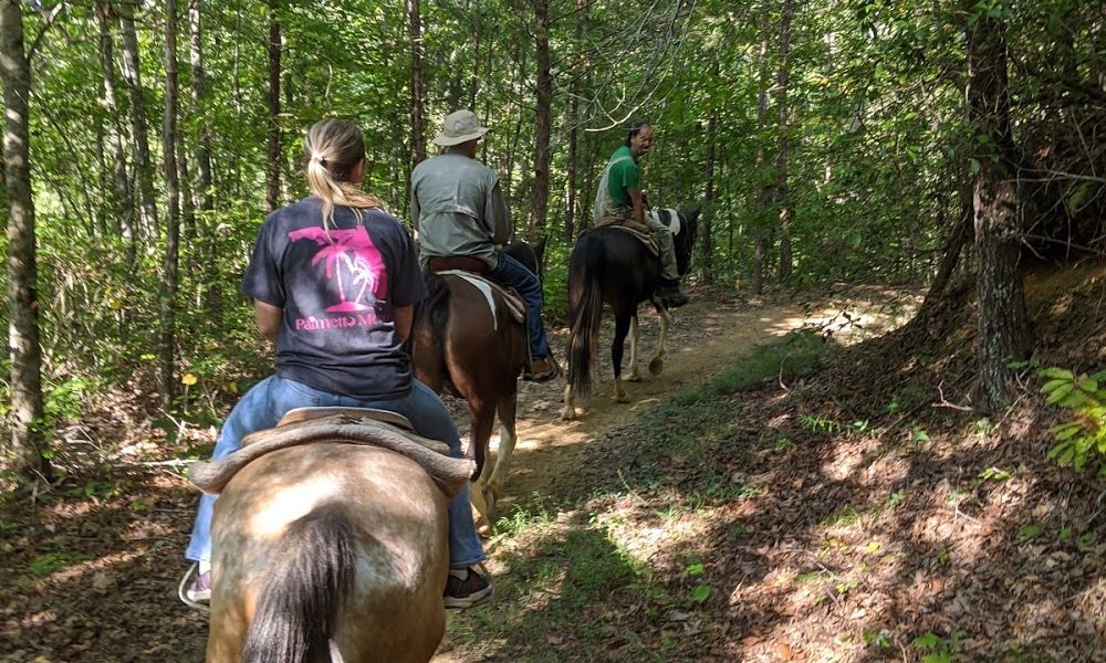 Nantahala Village Riding Stables