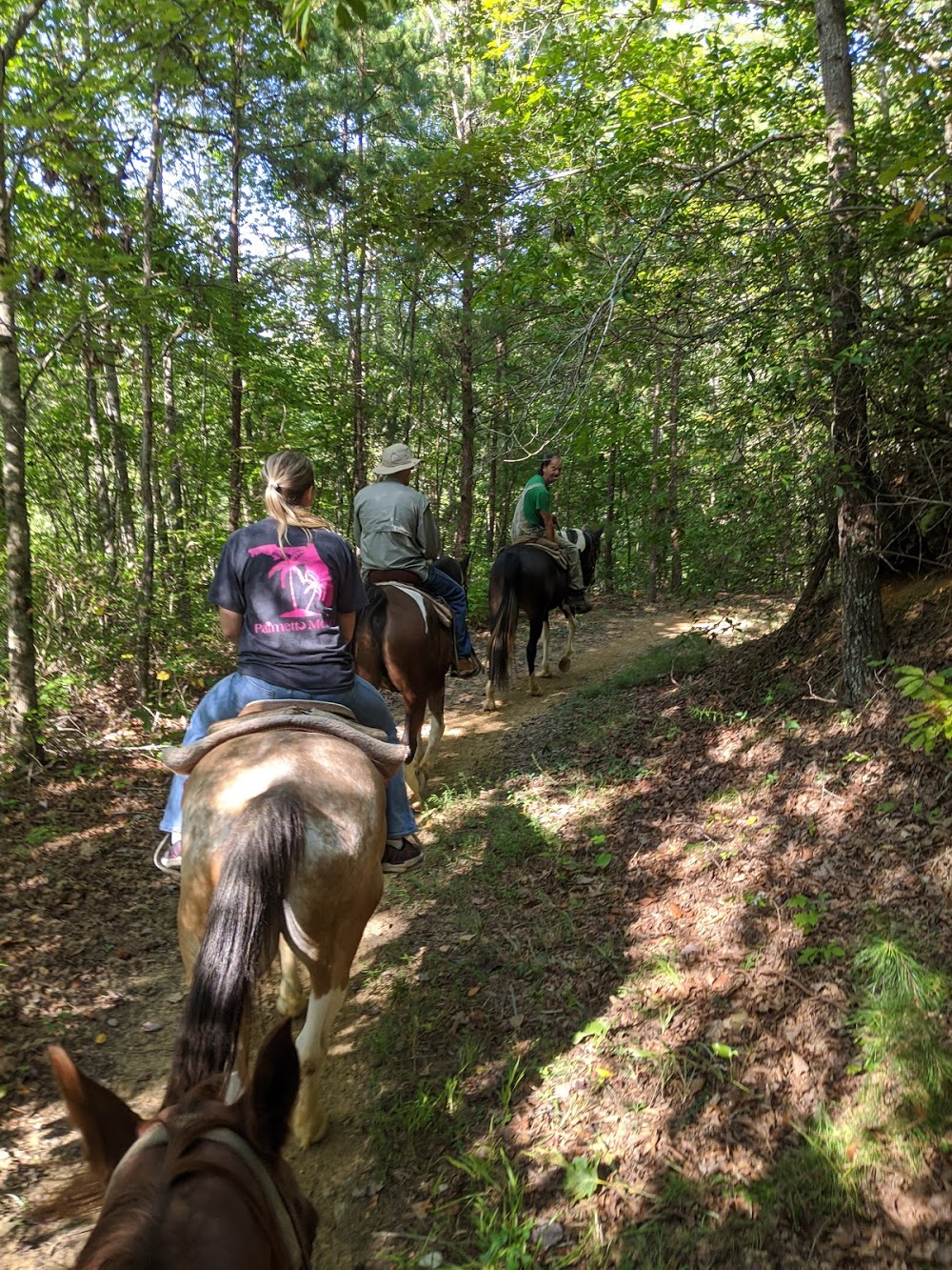 Nantahala Village Riding Stables