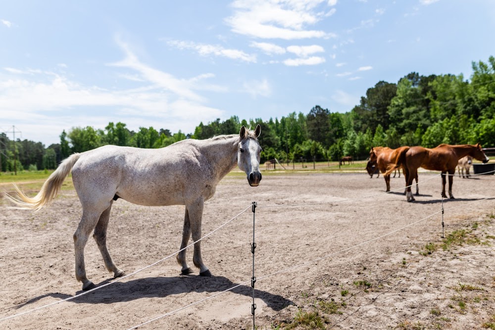 Red Barn Pony Park