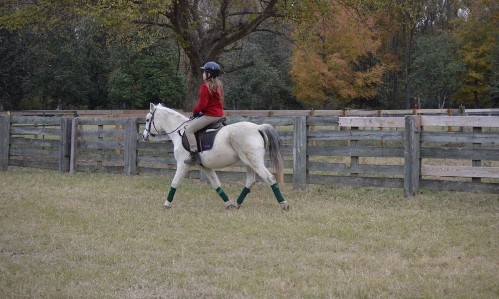 Sawyer Equestrian