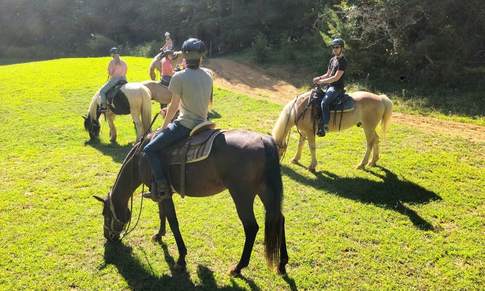 Track Rock Riding Academy