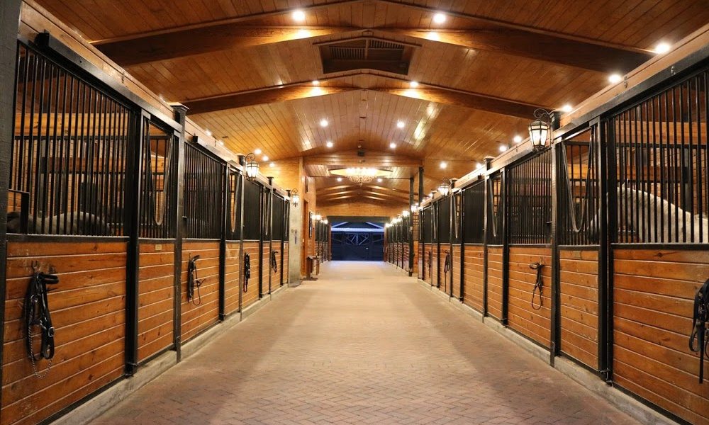 Windwood Equestrian