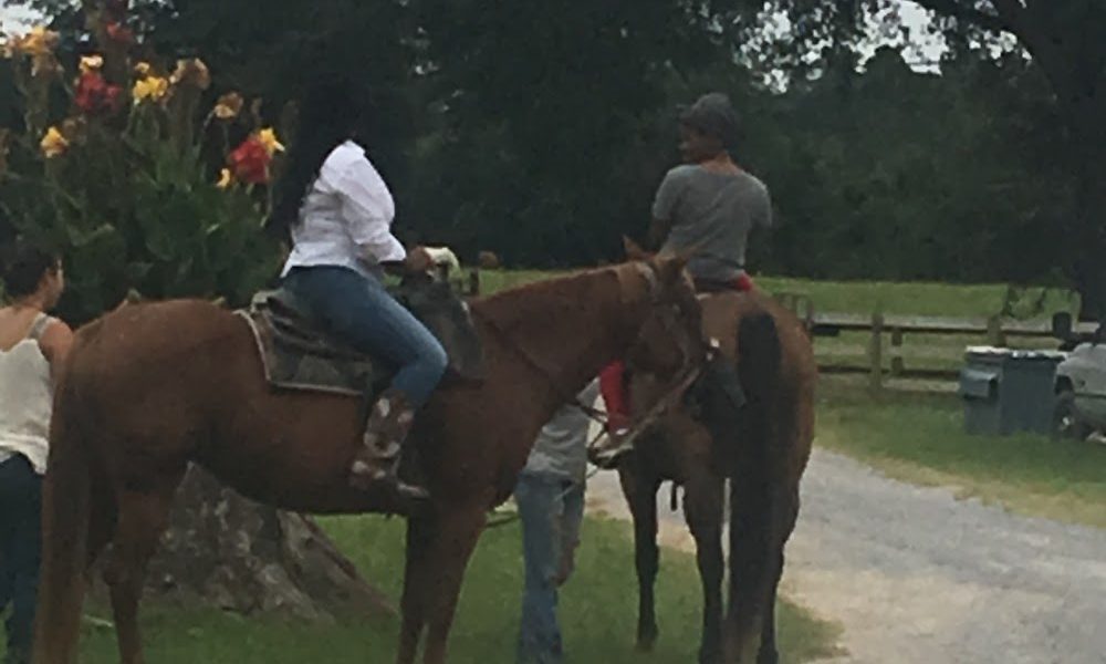 Shade Tree Riding Stables