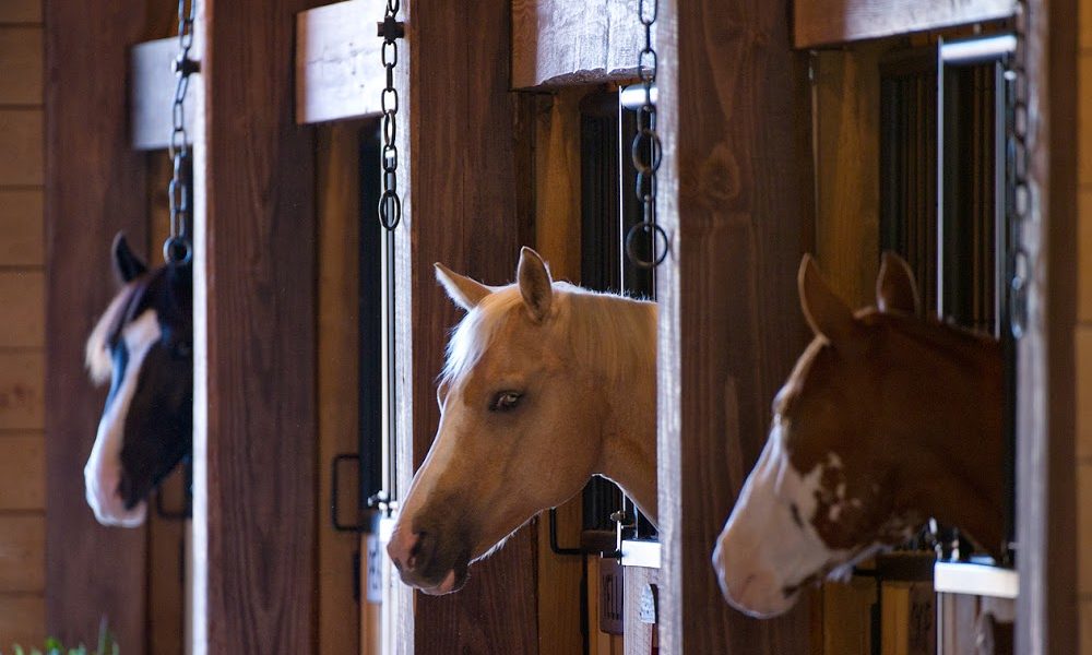 The Stables at Russell Crossroads